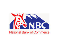 National Bank of Commerce Tanzania (Via EMC/VISA)