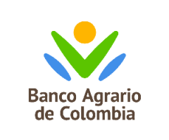 Banco Agrario (Via EMC/VISA)