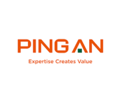 PingAn Bank (Via EMC/VISA)